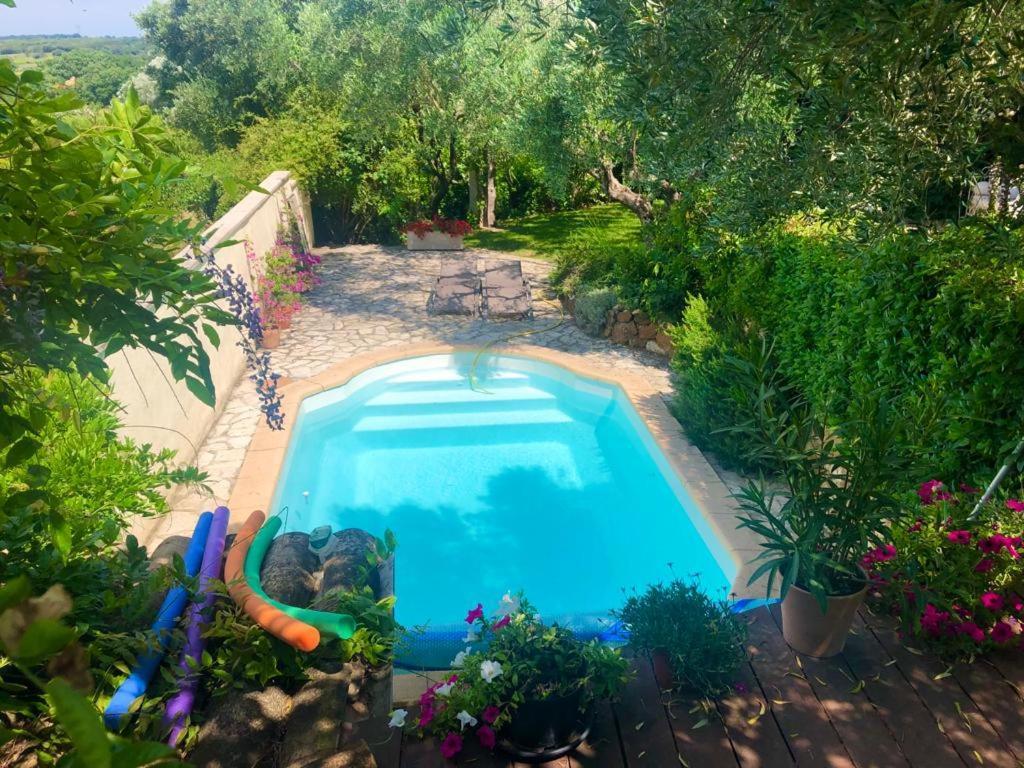 Mas Luis Alvarez Appartement